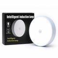 Intelligent Induction Lamp USB Rechargeable Motion Sensor Night Light