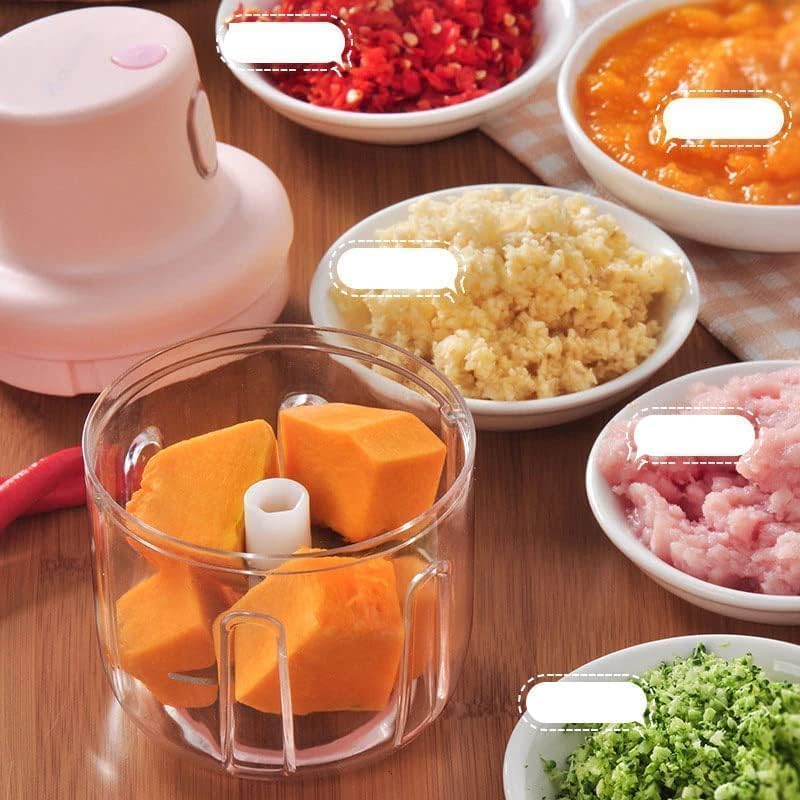 Mini electric food chopper chopping garlic ginger chili meat vegetables